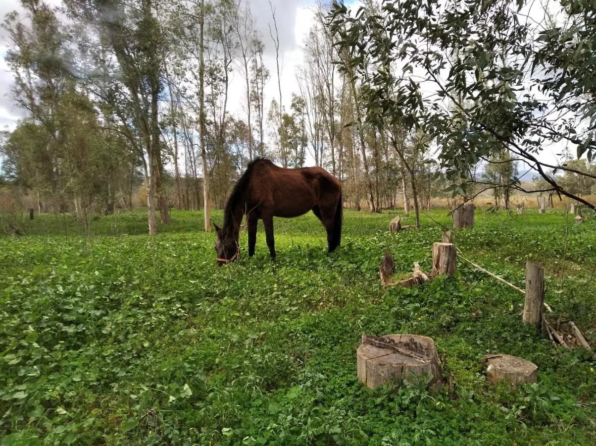Home Benitez Pizarra Сasa de vacaciones
