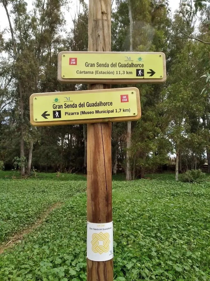 Home Benitez Pizarra España