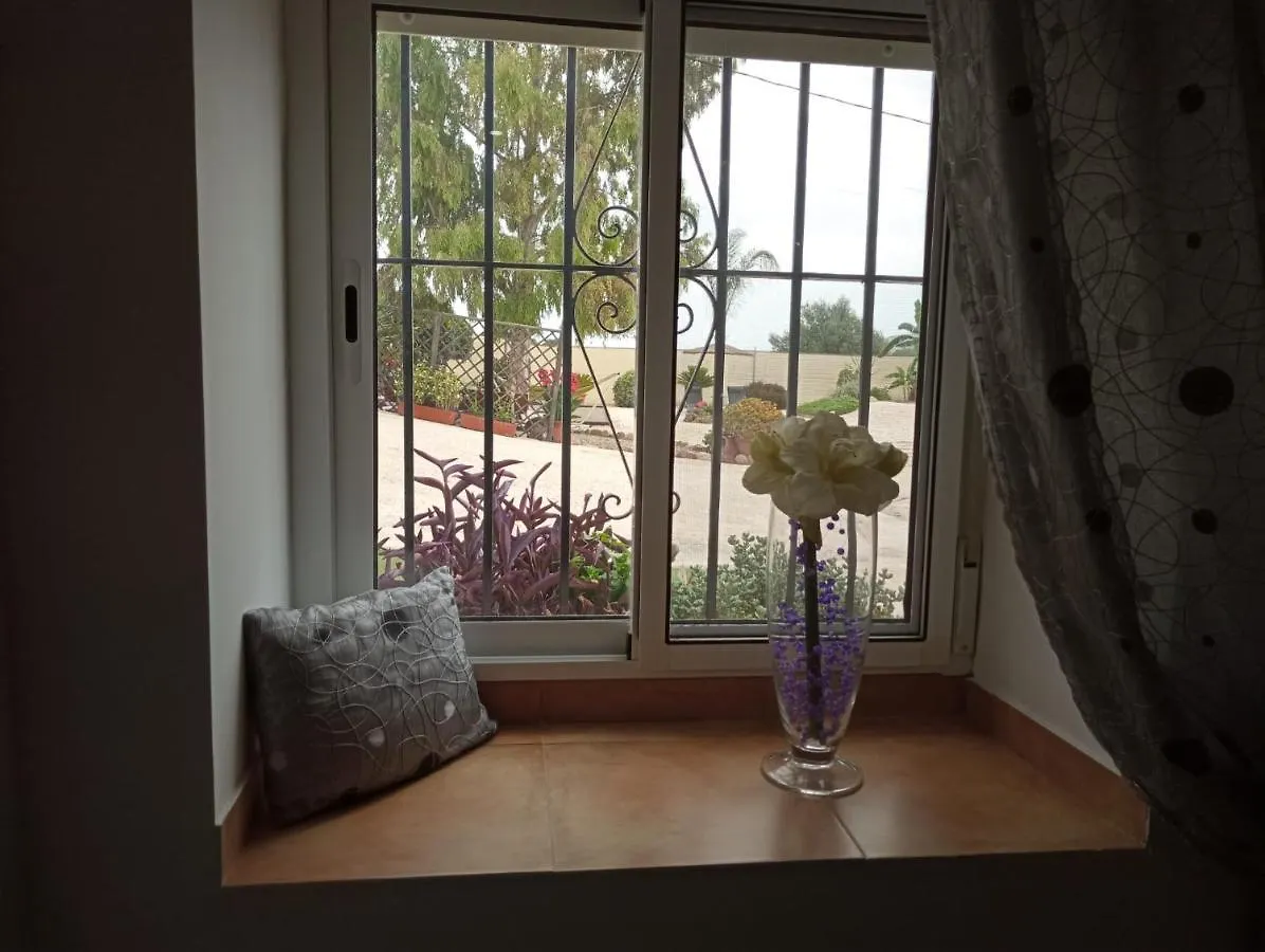 Home Benitez Pizarra Spain
